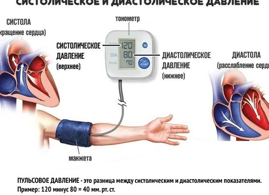 Что означает пульсовое давление и каким оно должно быть?