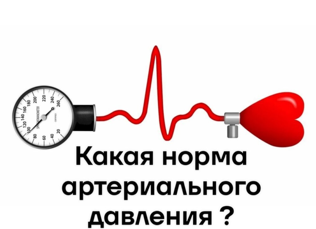 Сердечная недостаточность появляется уже в 40 лет. Разбираемся, почему это происходит, и как возникает атеросклероз.