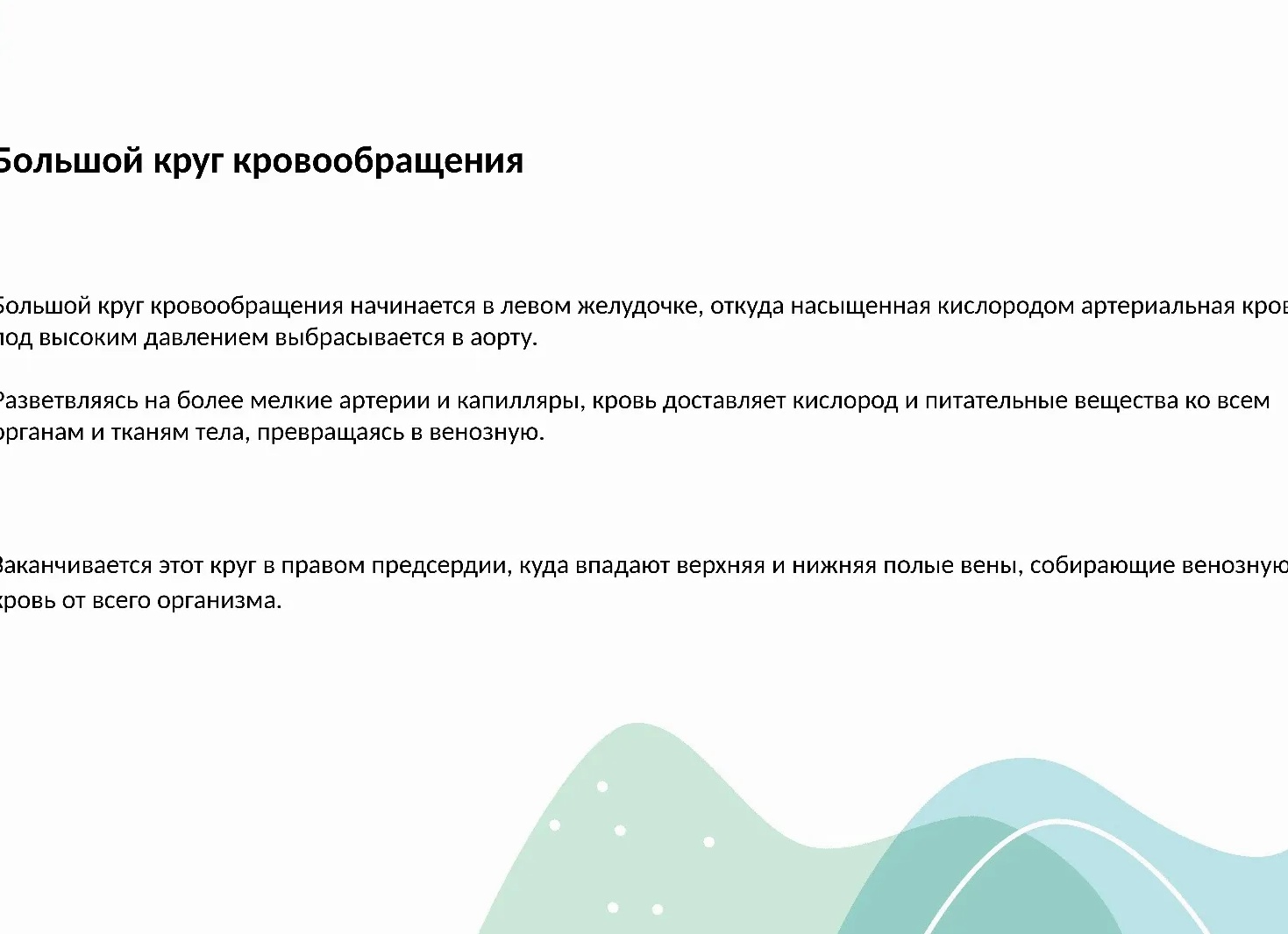 Аорта: Главная магистраль большого круга кровообращения