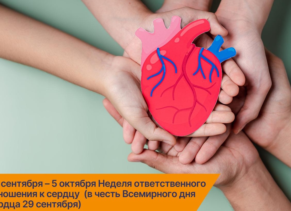Сердце —двигатель вашей жизни