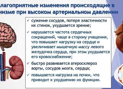Атеросклероз сосудов головного мозга,сердца, аорты и её ветвей, новое в их развитии.