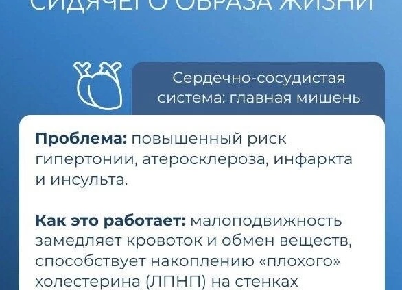 Атеросклероз: невидимый враг сосудов. Можно ли его остановить?