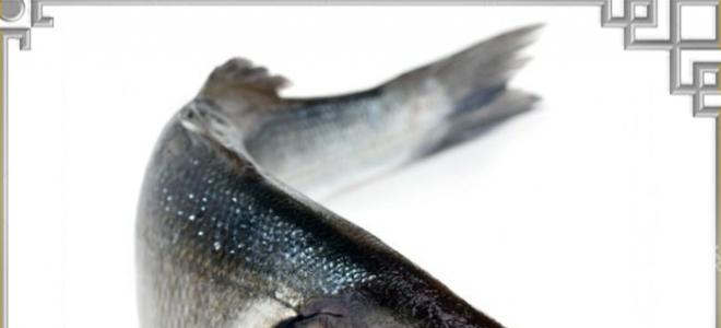 Okoń morski - o zawartości kalorii, korzyściach i szkodach ryb, w których występuje